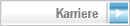 Karriere